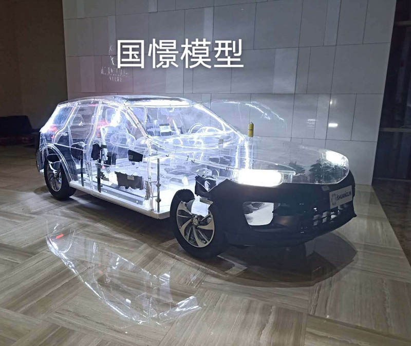 东台市透明车模型